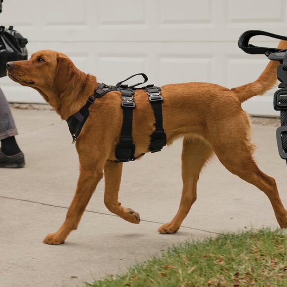 NWT high quality Saker Extended Ascension Dog Harness, hike/walk/car all in one - Picture 9 of 13